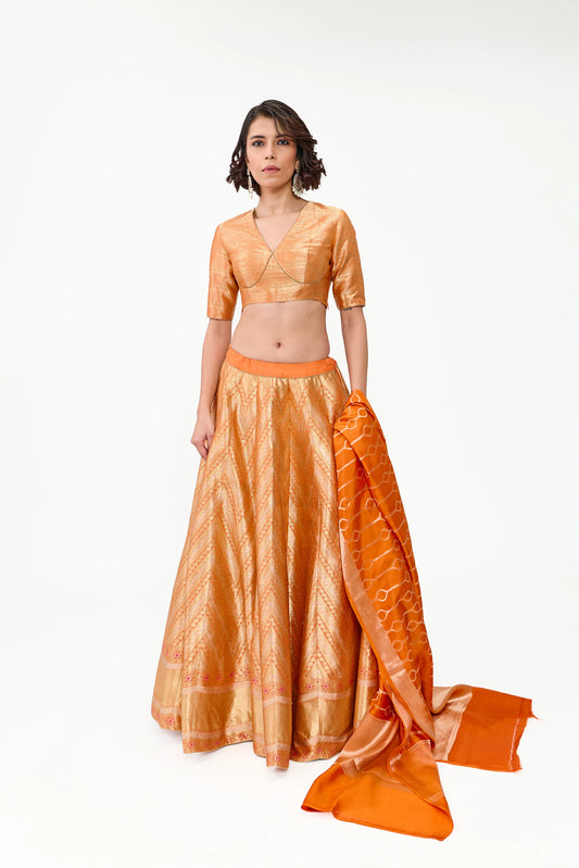 Aarwa Lehenga