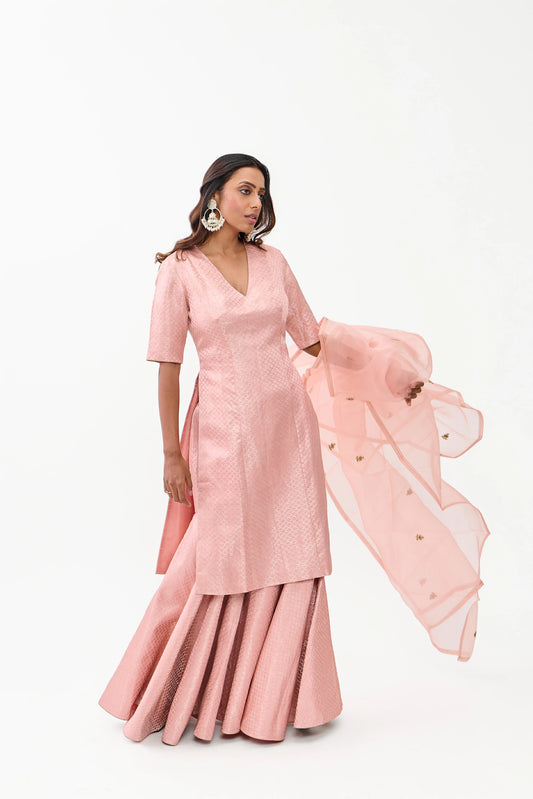 Nikhat Satin Brocade Sharara Silver Zari