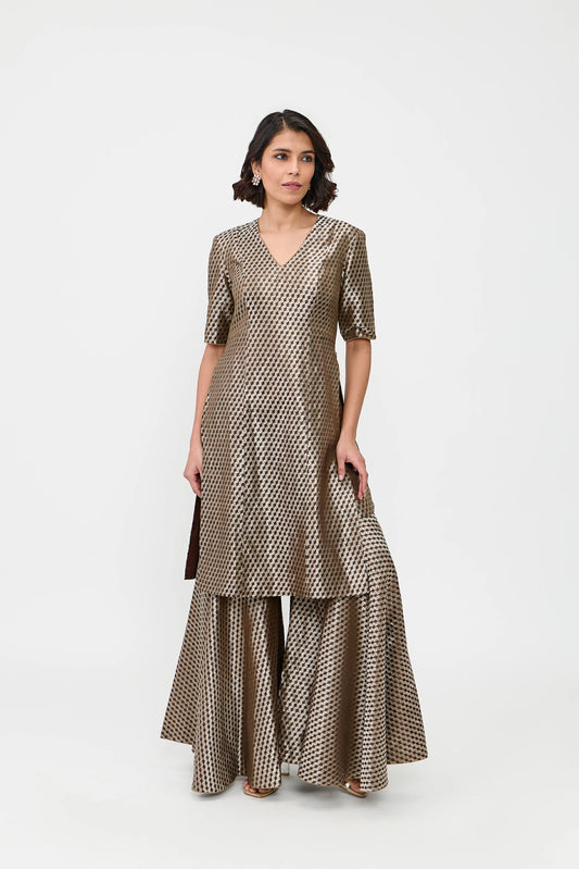 Aarshi Varanasi Silk Brocade Sharara