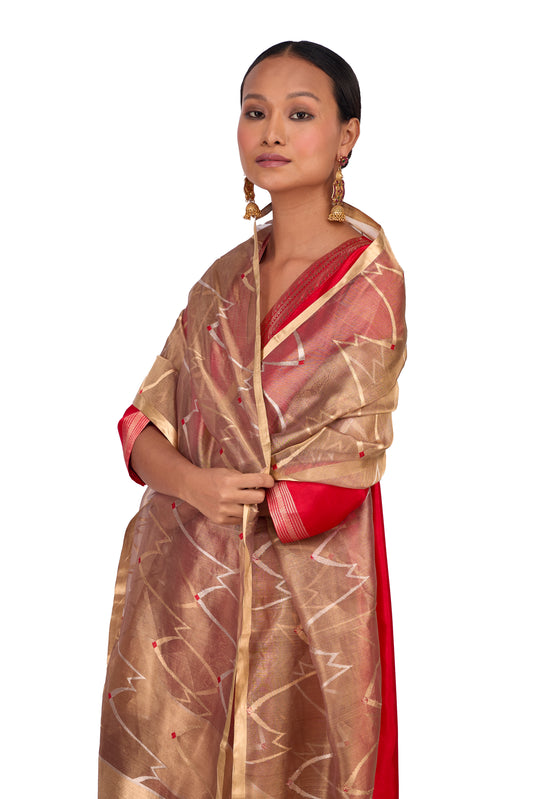 Gold Organza tissue kadwa dupatta