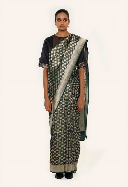 Dhari - Sitara Saree