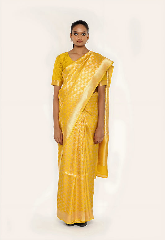 Dhari 鈥 Sitara Saree