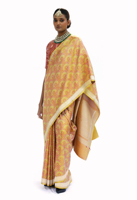 SRISHA - floral katan silk jaal banarasi saree