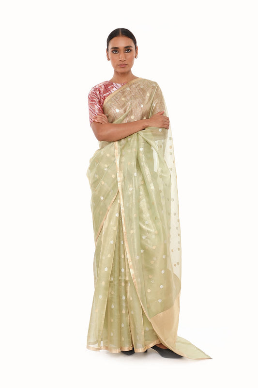 Palasha - Pista Saree