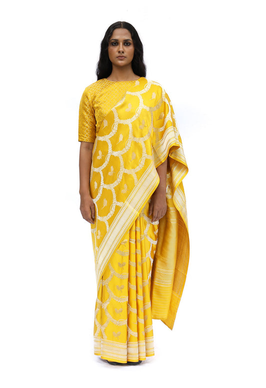 CHIDIYA- mustard yellow katan silk saree